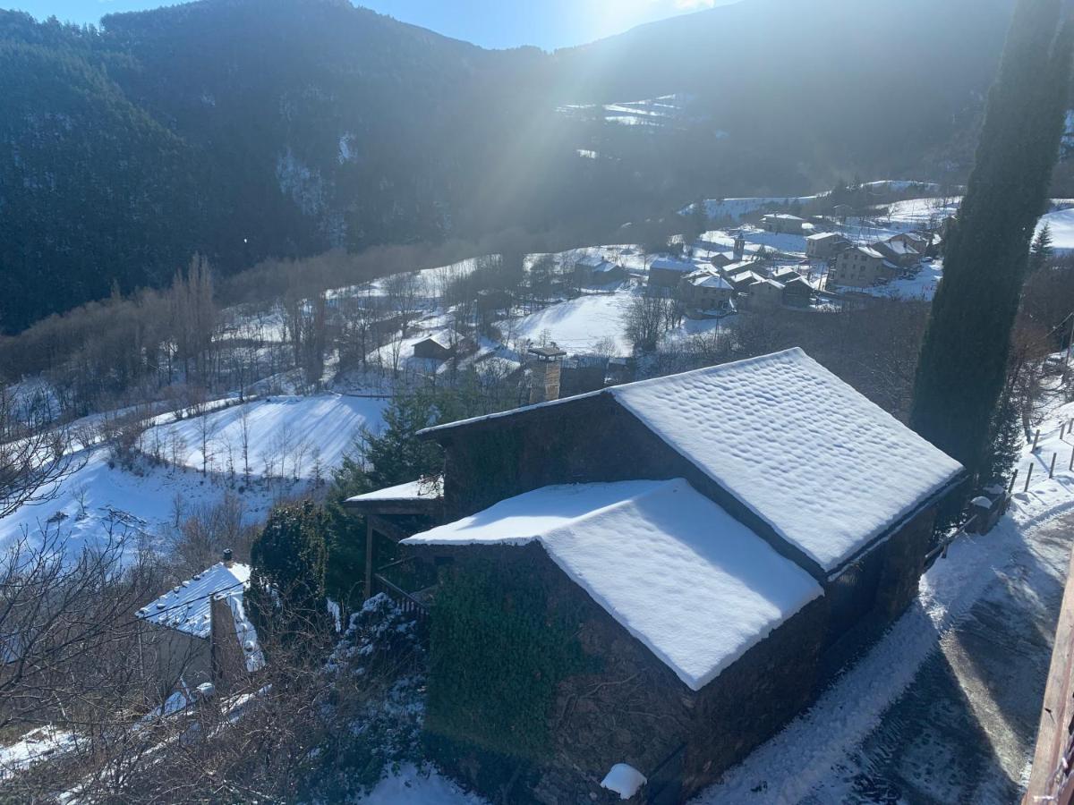 Pirineu Nevà Neva