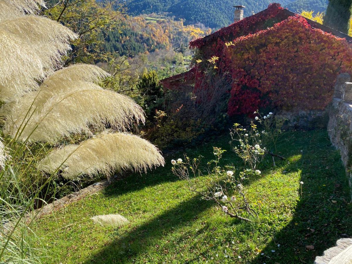 Pirineu Neva