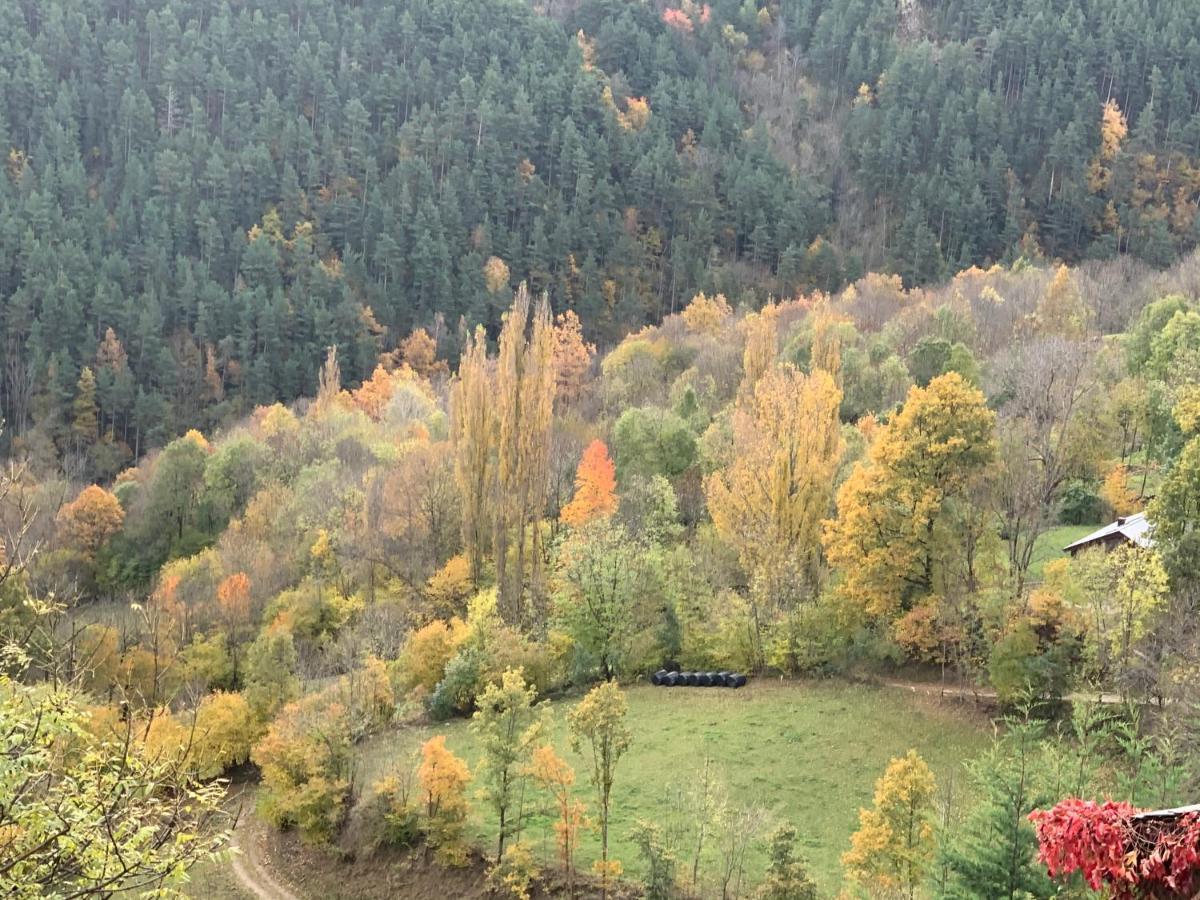 Pirineu Holiday home Neva