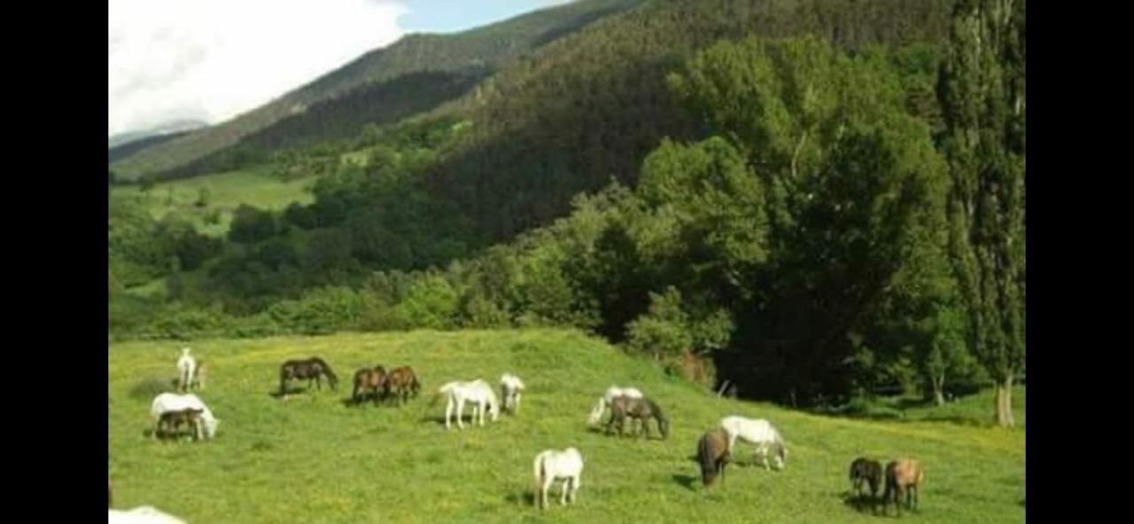 Pirineu Holiday home
