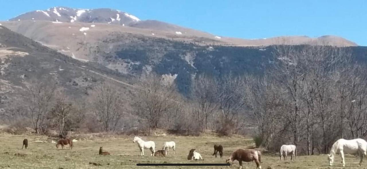 Pirineu Holiday home *