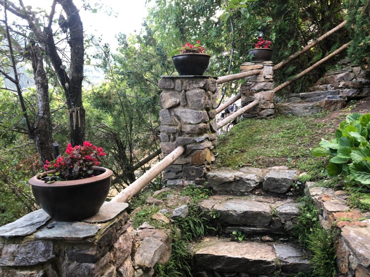 Pirineu Holiday home *
