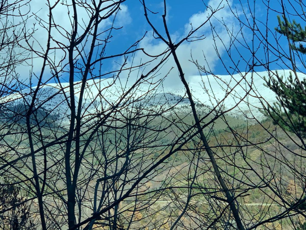 Pirineu Neva