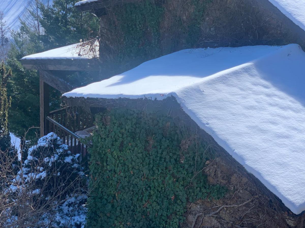 Pirineu Holiday home *