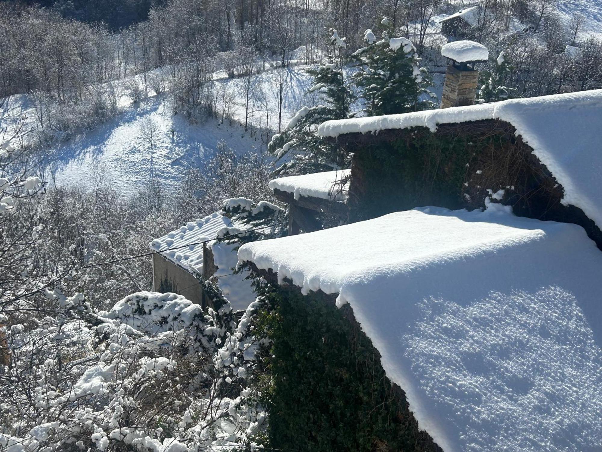 Pirineu * Neva