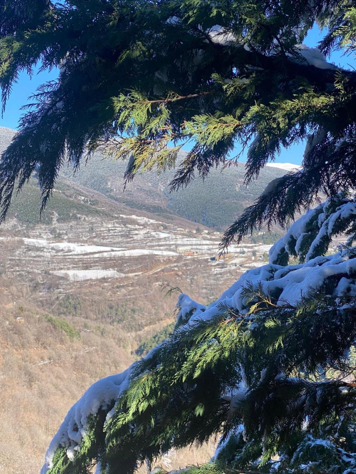 Pirineu