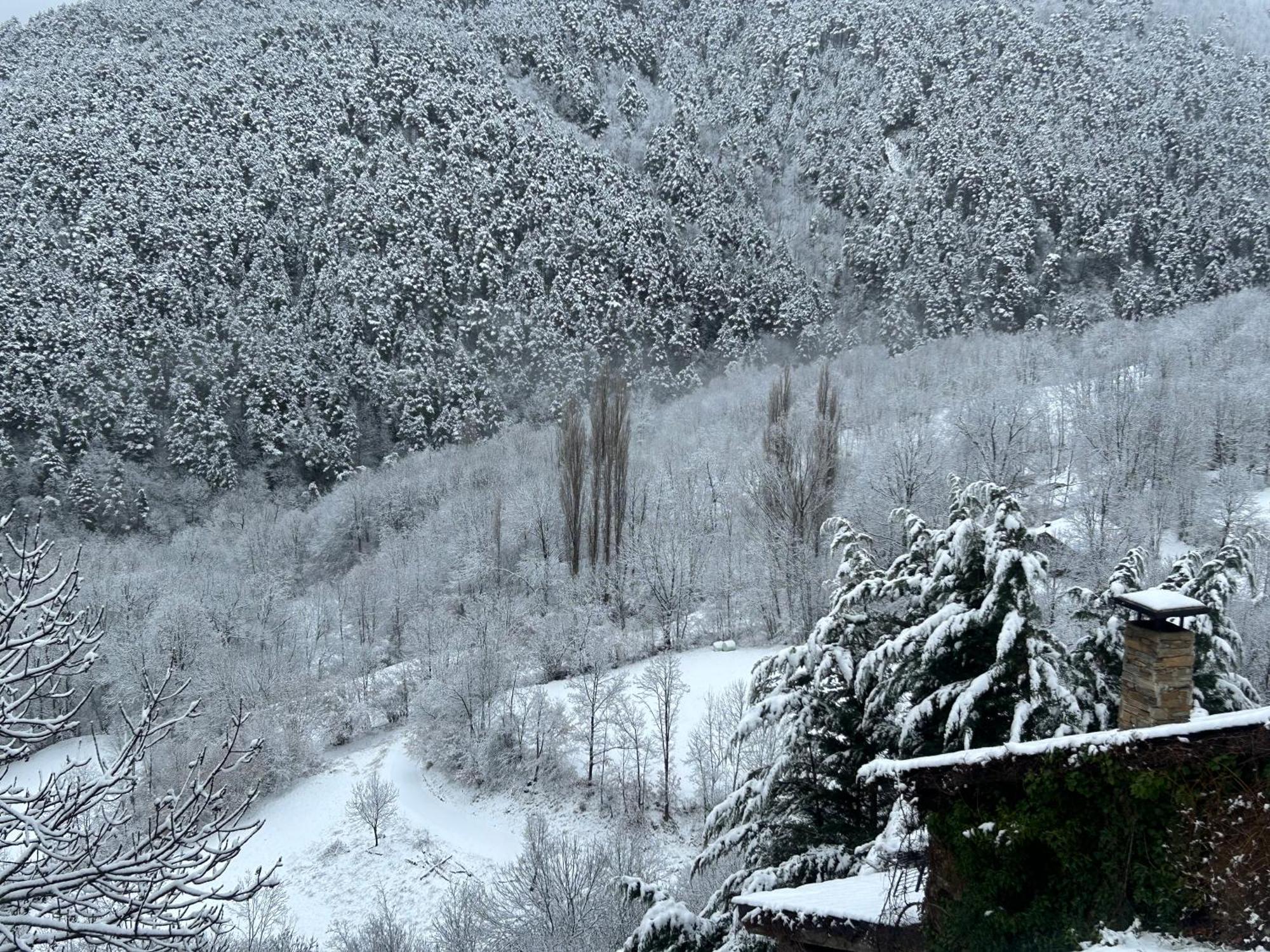 Pirineu Holiday home *